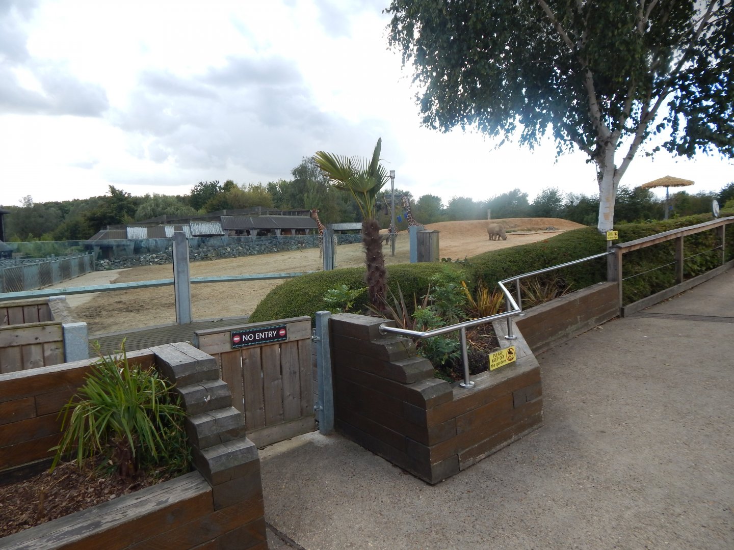 Kingdom of the Wild 110925