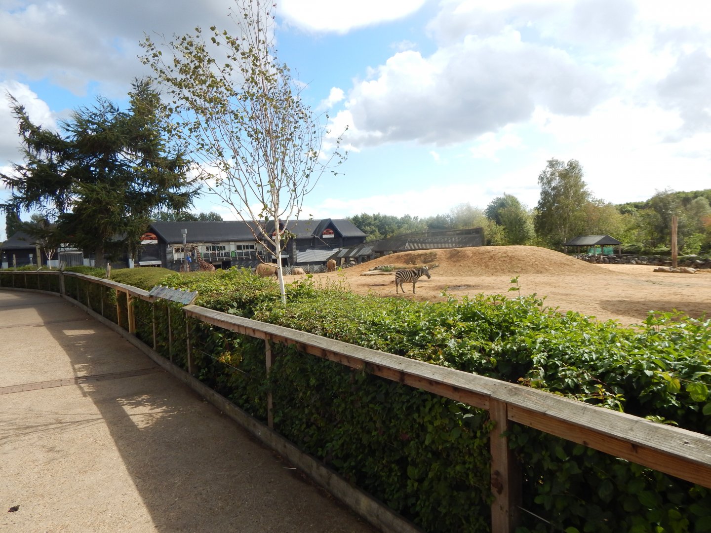 Kingdom of the Wild 110925