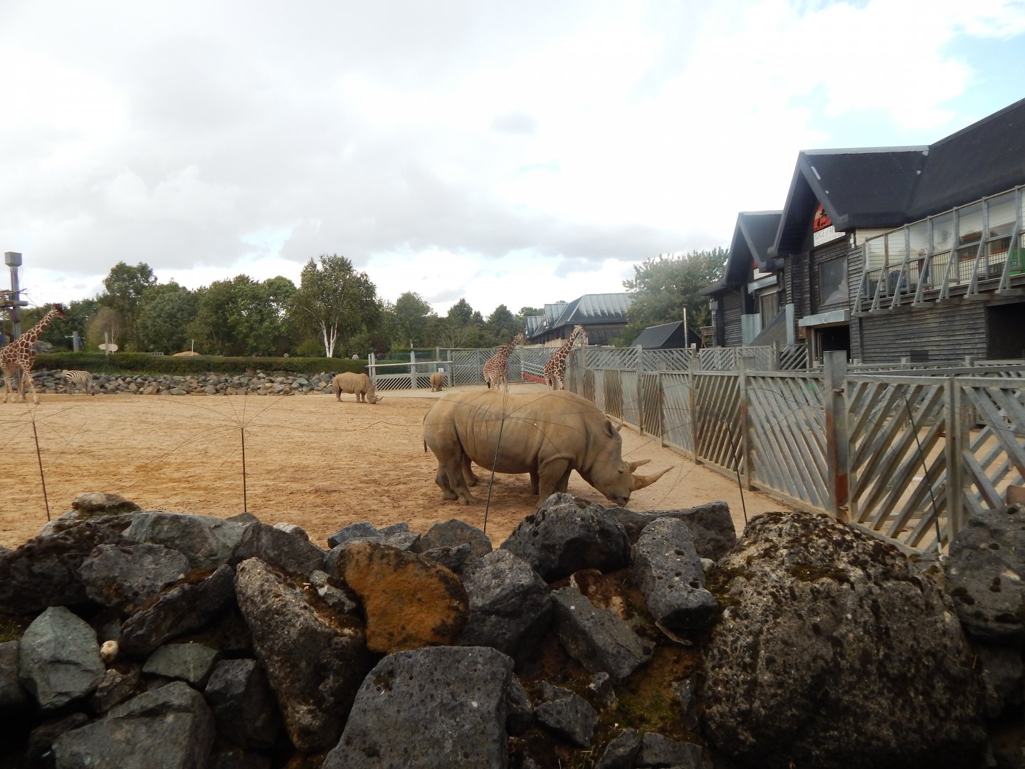 Kingdom of the Wild 110925