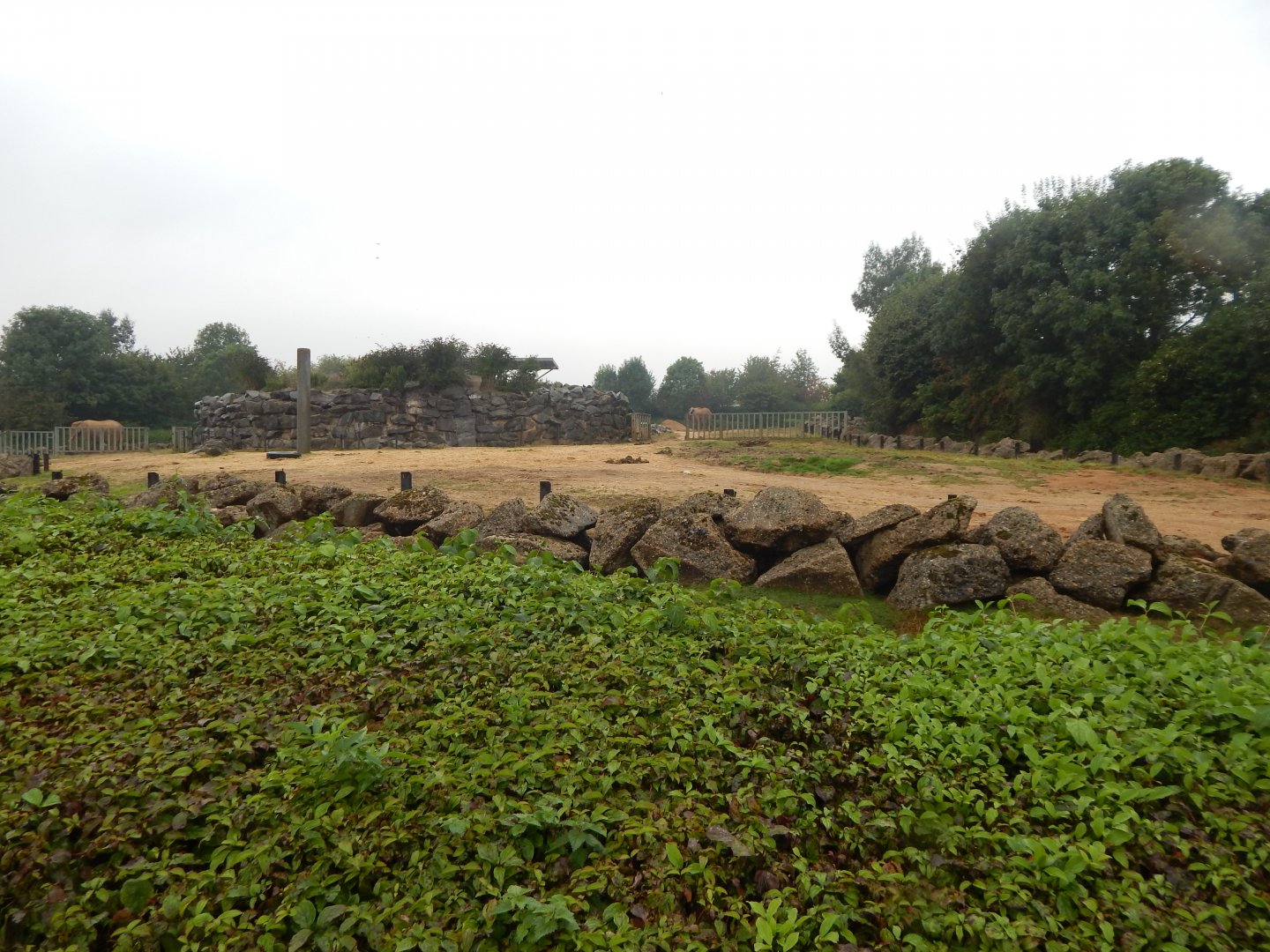 Kingdom of the Wild - African elephant enclosure 140921