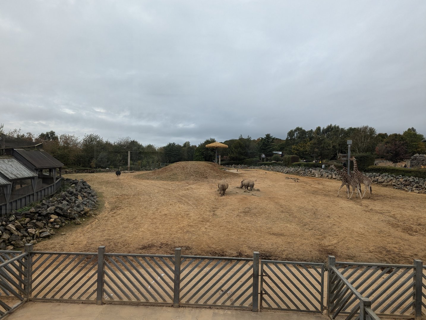 Kingdom of the Wild African Paddock