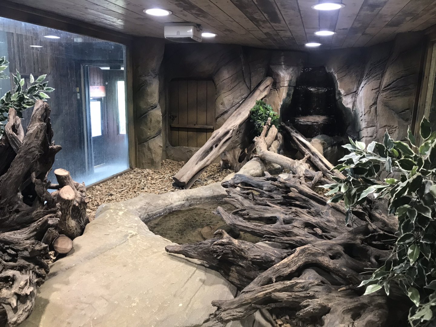 Kingdom of the Wild - African rock python exhibit 050819