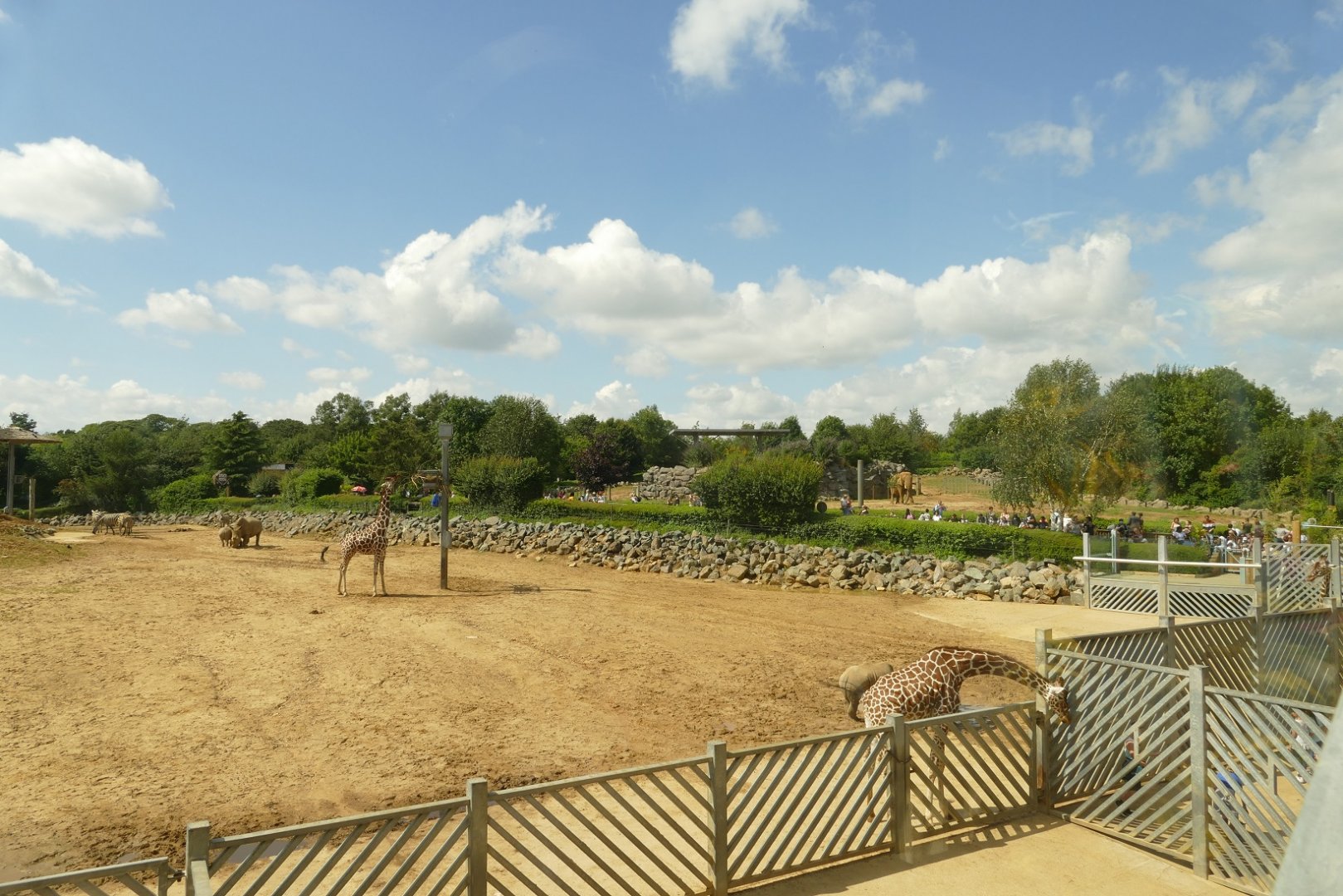 Kingdom of the Wild and Elephant Kingdom, August 2021