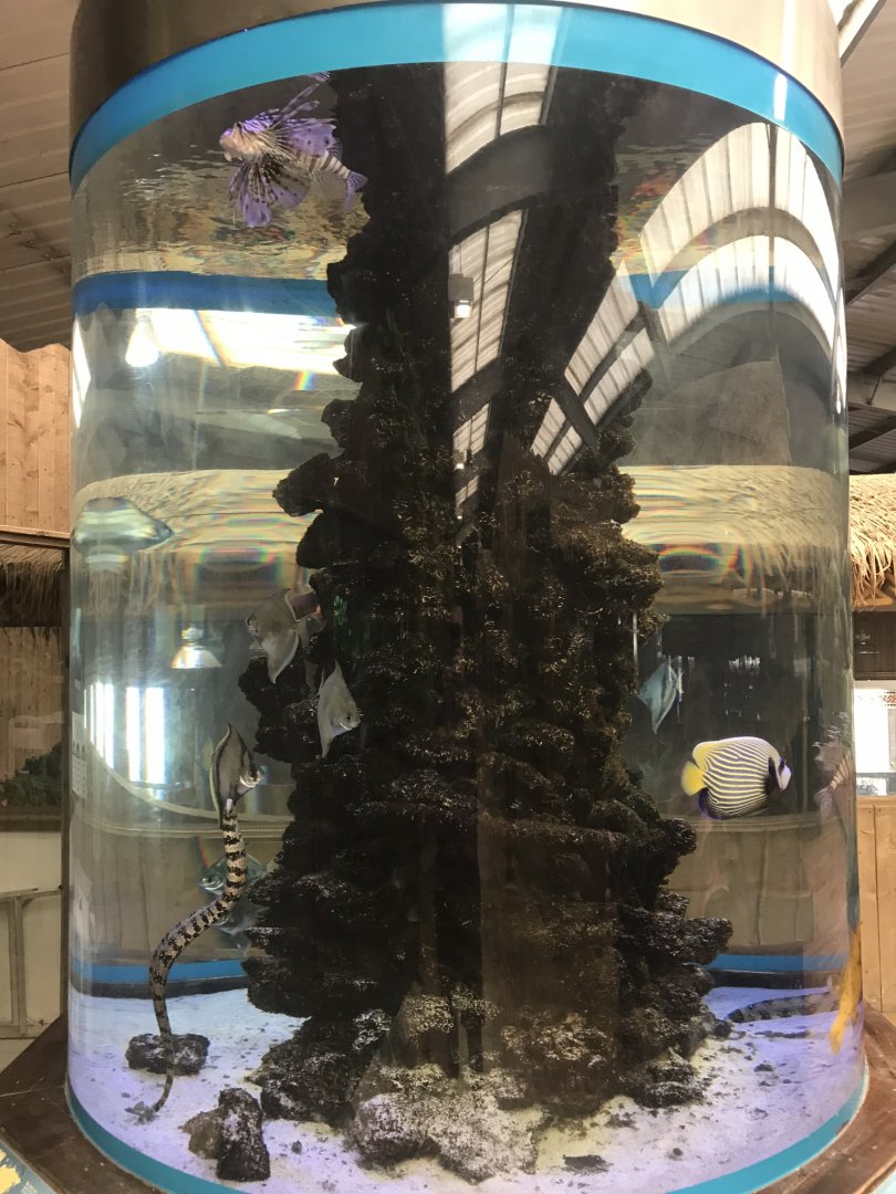 Kingdom of the Wild - aquarium exhibit 050819