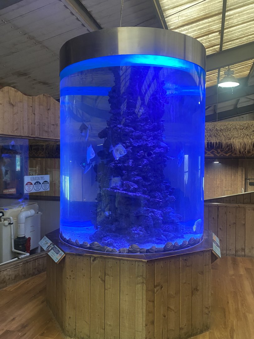 Kingdom of the Wild - Aquarium exhibit 110925