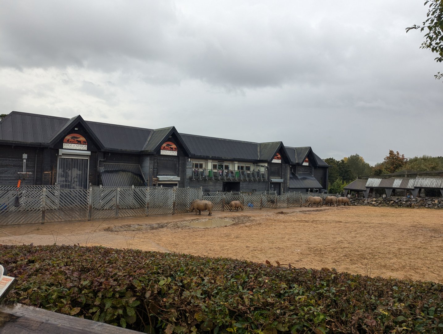 Kingdom of the Wild Building