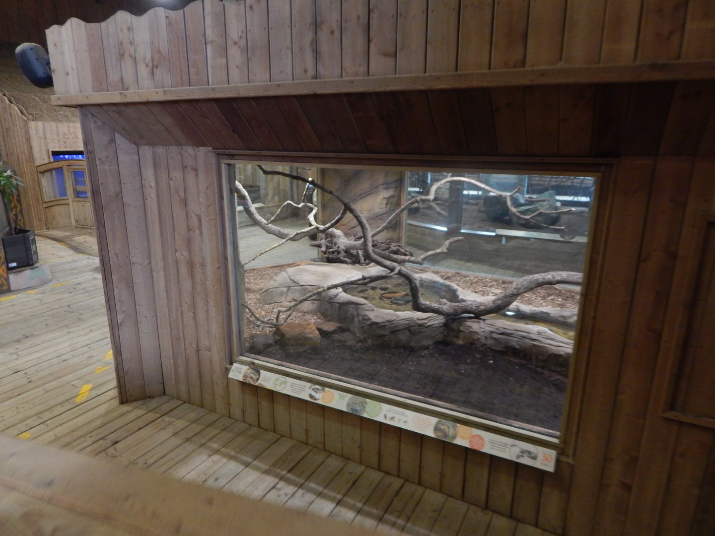 Kingdom of the Wild - Central African rock python exhibit 110925