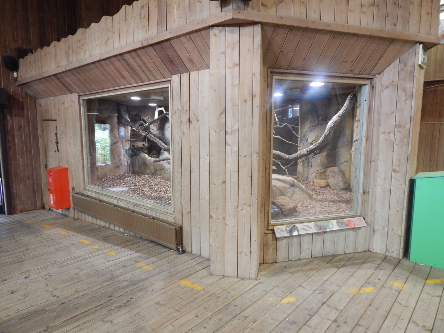 Kingdom of the Wild - Central African rock python exhibit 110925