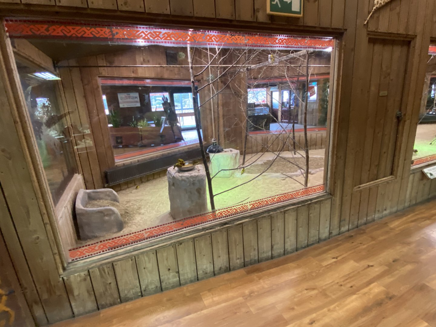 Kingdom of the Wild - Central exhibit 110925