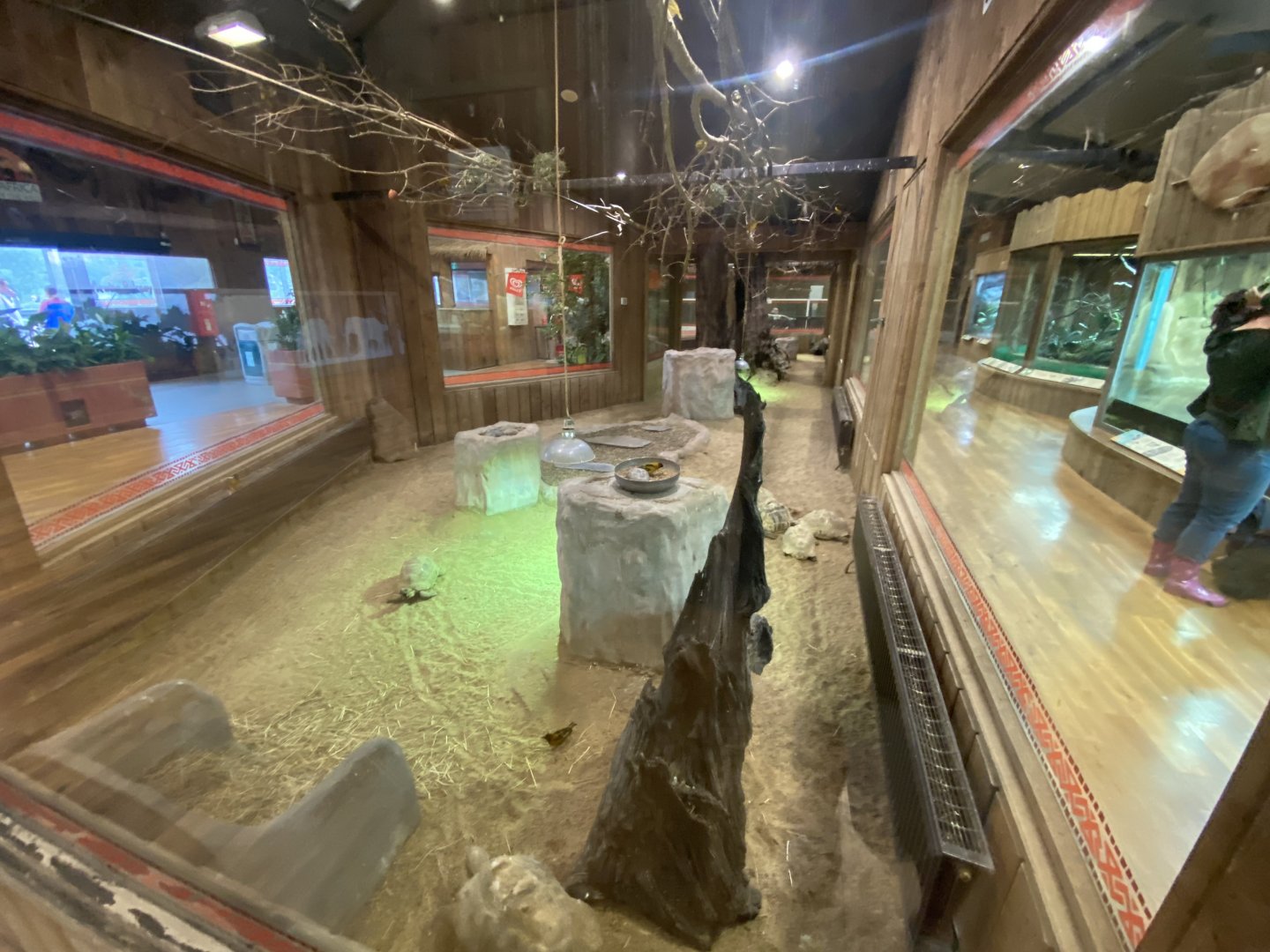 Kingdom of the Wild - centre exhibit 140921