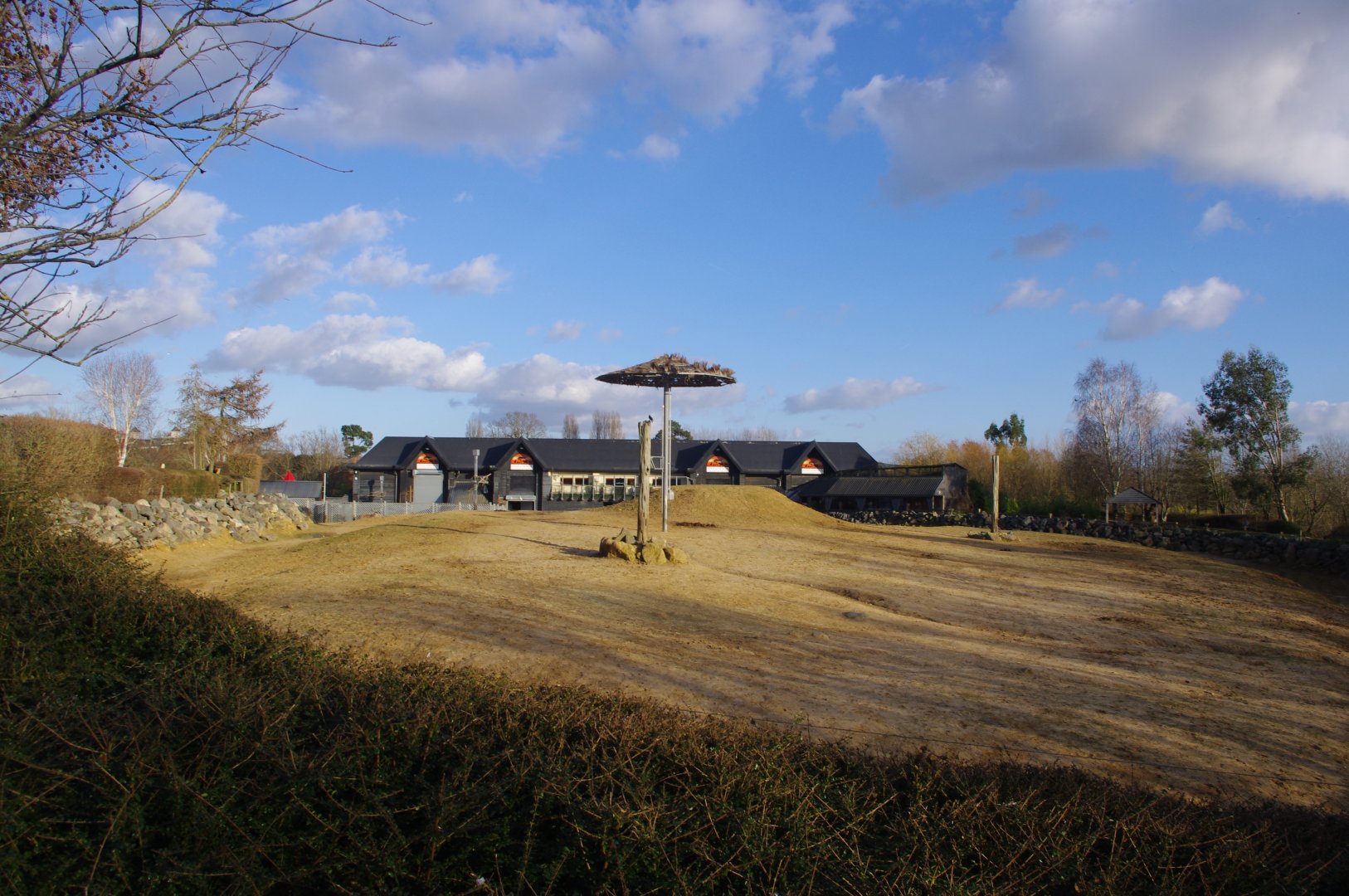 Kingdom of The Wild- Colchester Zoo 25/2/2022