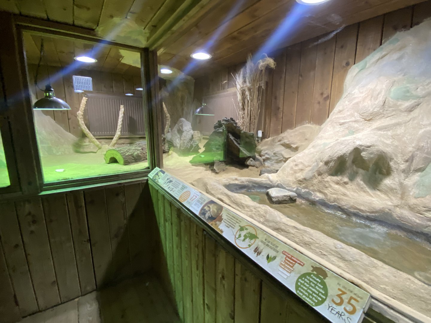 Kingdom of the Wild - Desert exhibit 110925