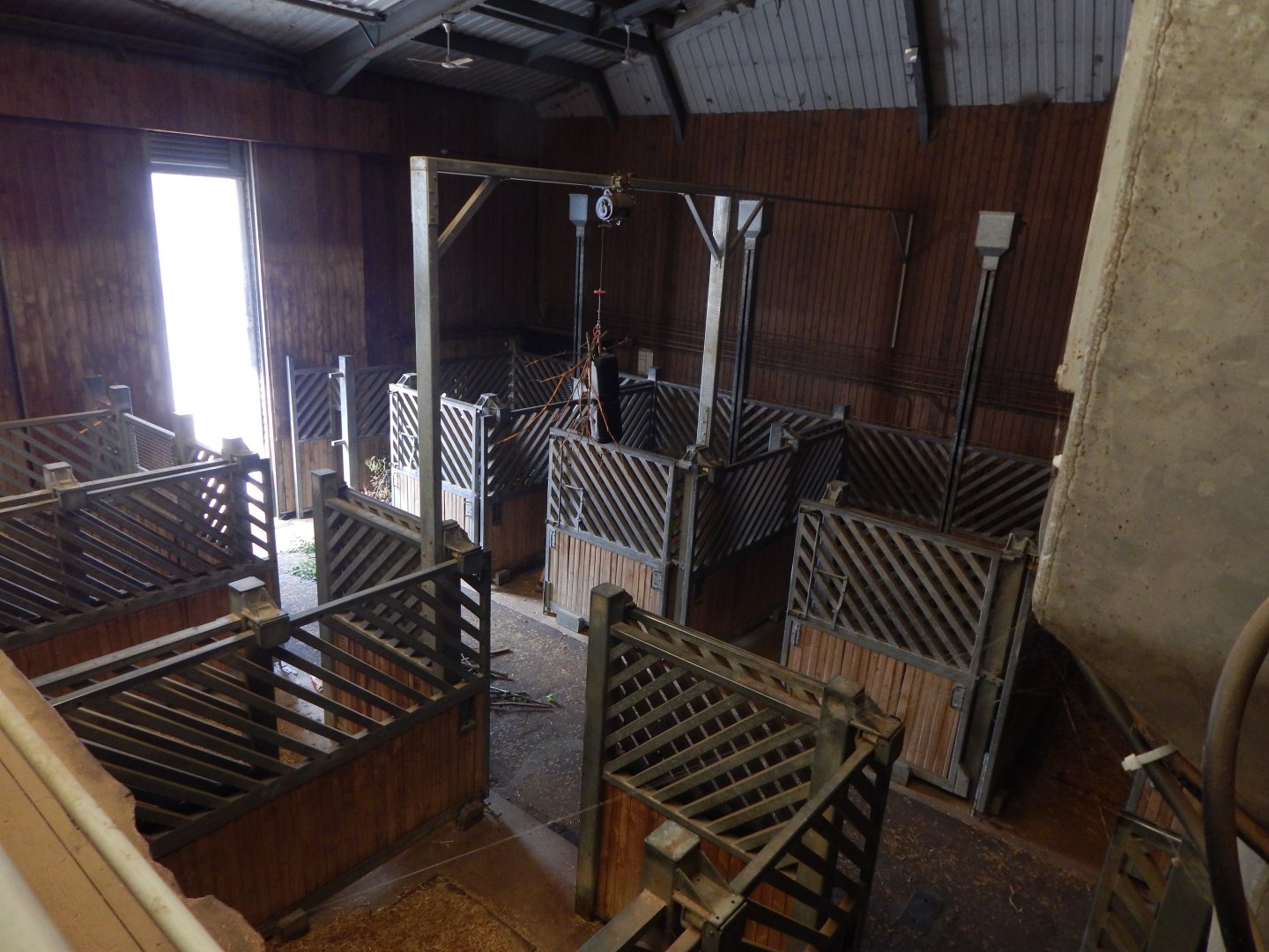 Kingdom of the Wild - indoor accommodation for African savannah 110925