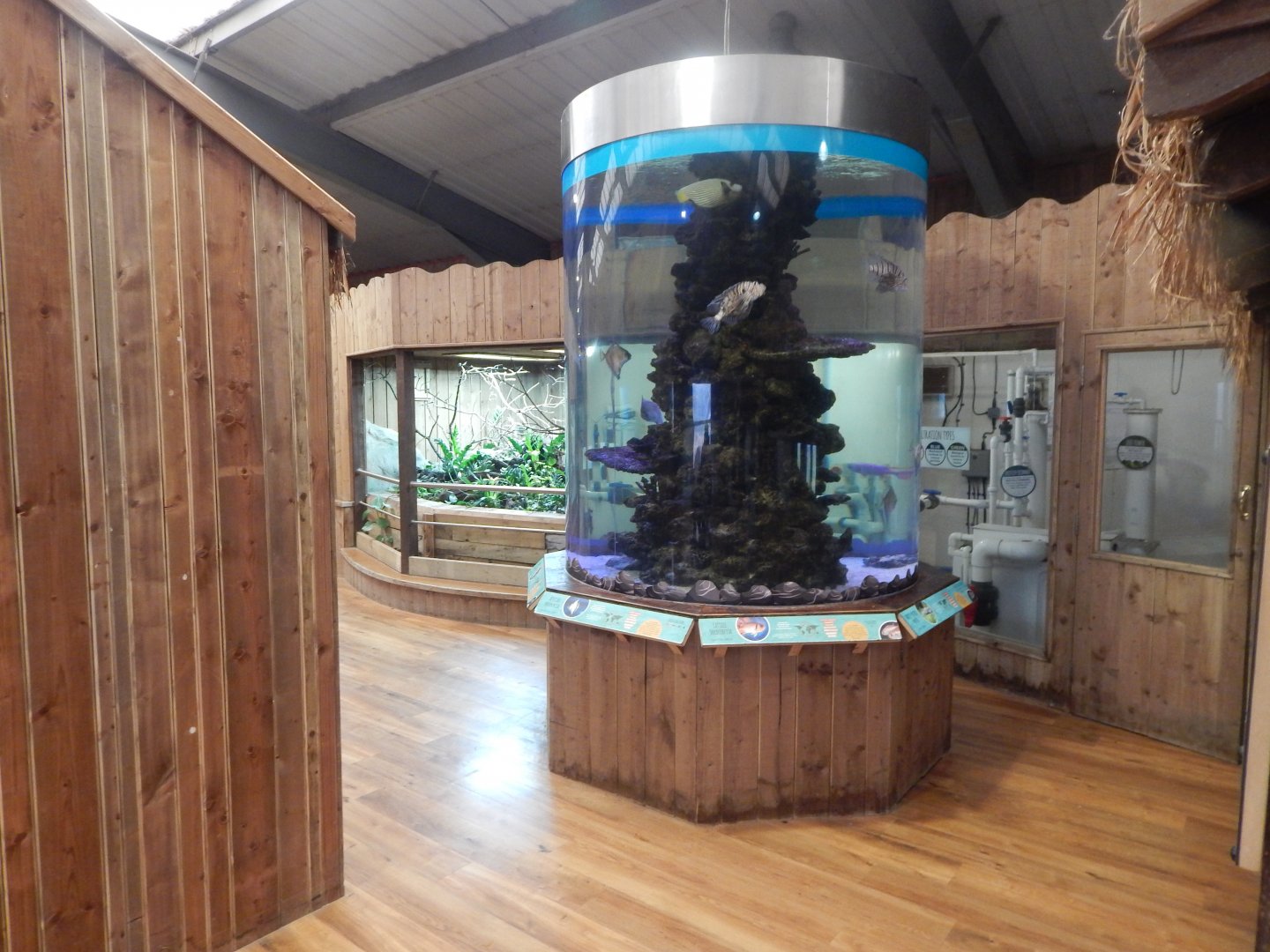 Kingdom of the Wild - Indoor exhibits 140921