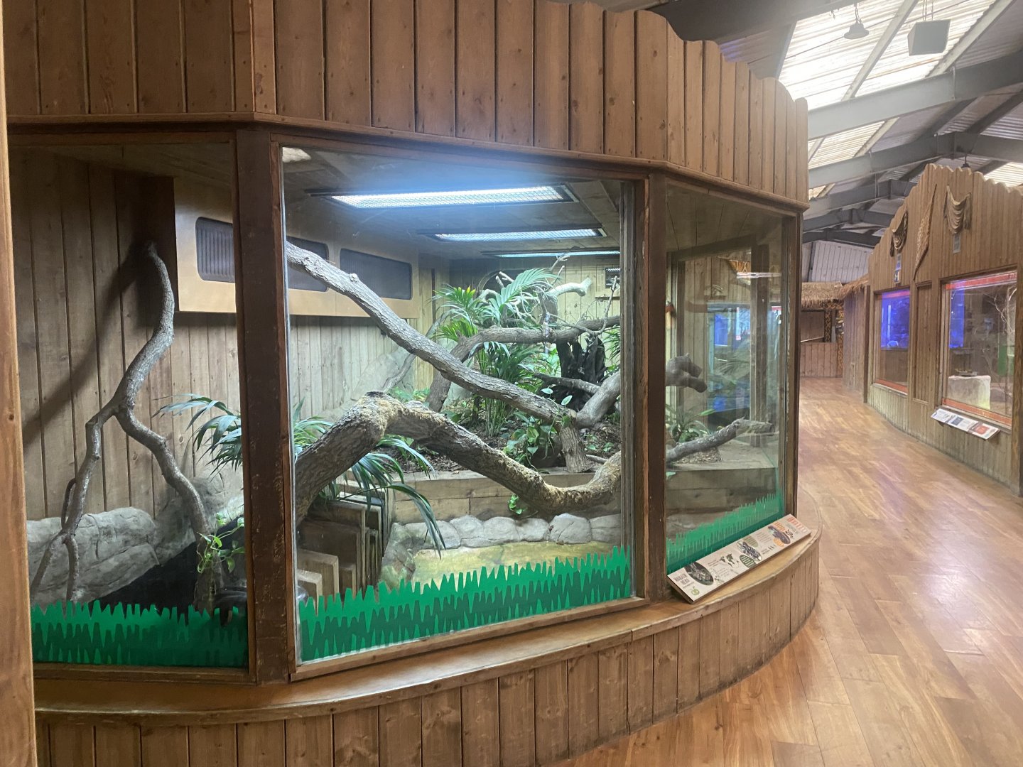 Kingdom of the Wild - Malagasy tree boa exhibit 110925