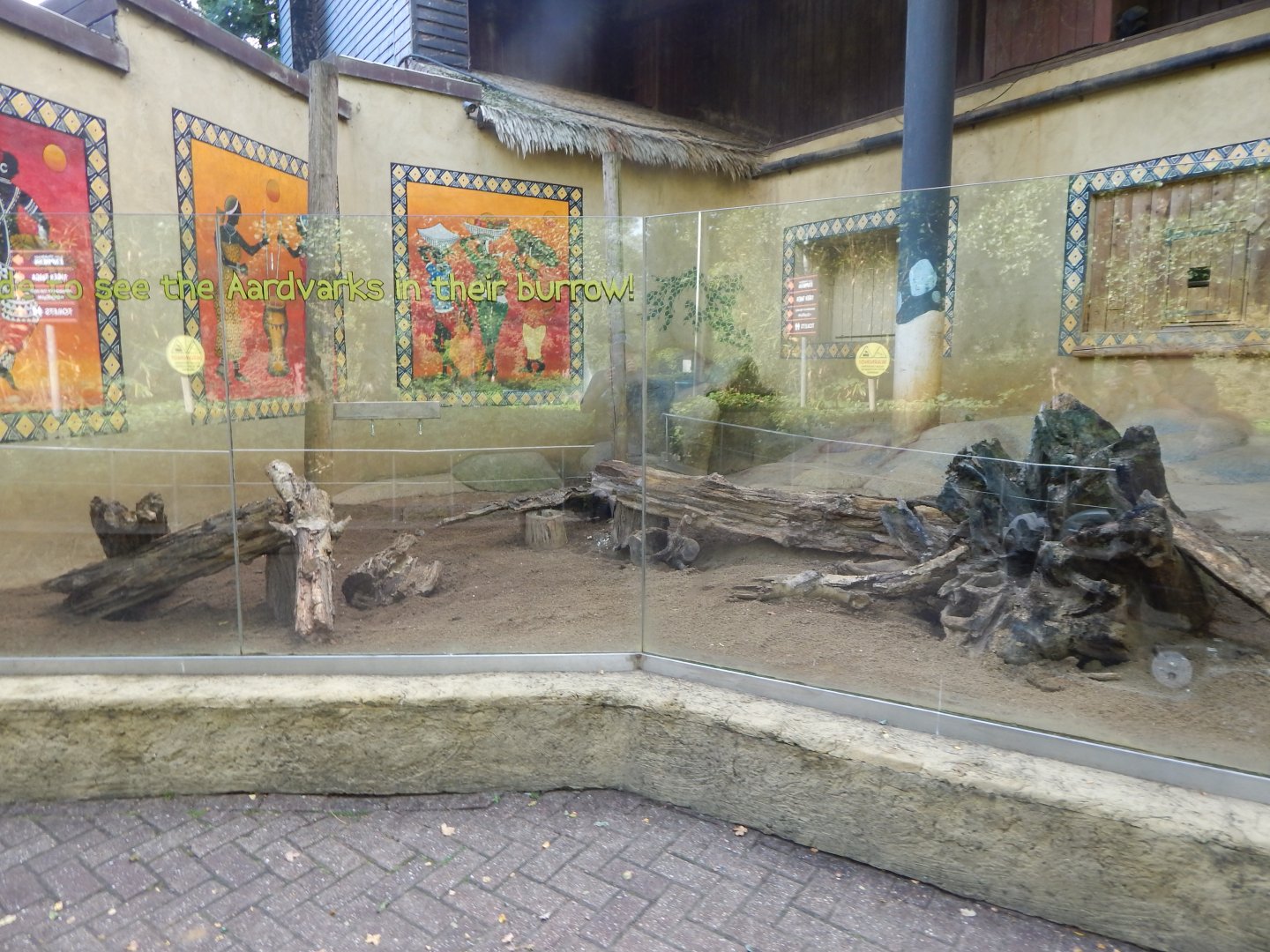 Kingdom of the Wild - outdoor Aardvark enclosure 110925
