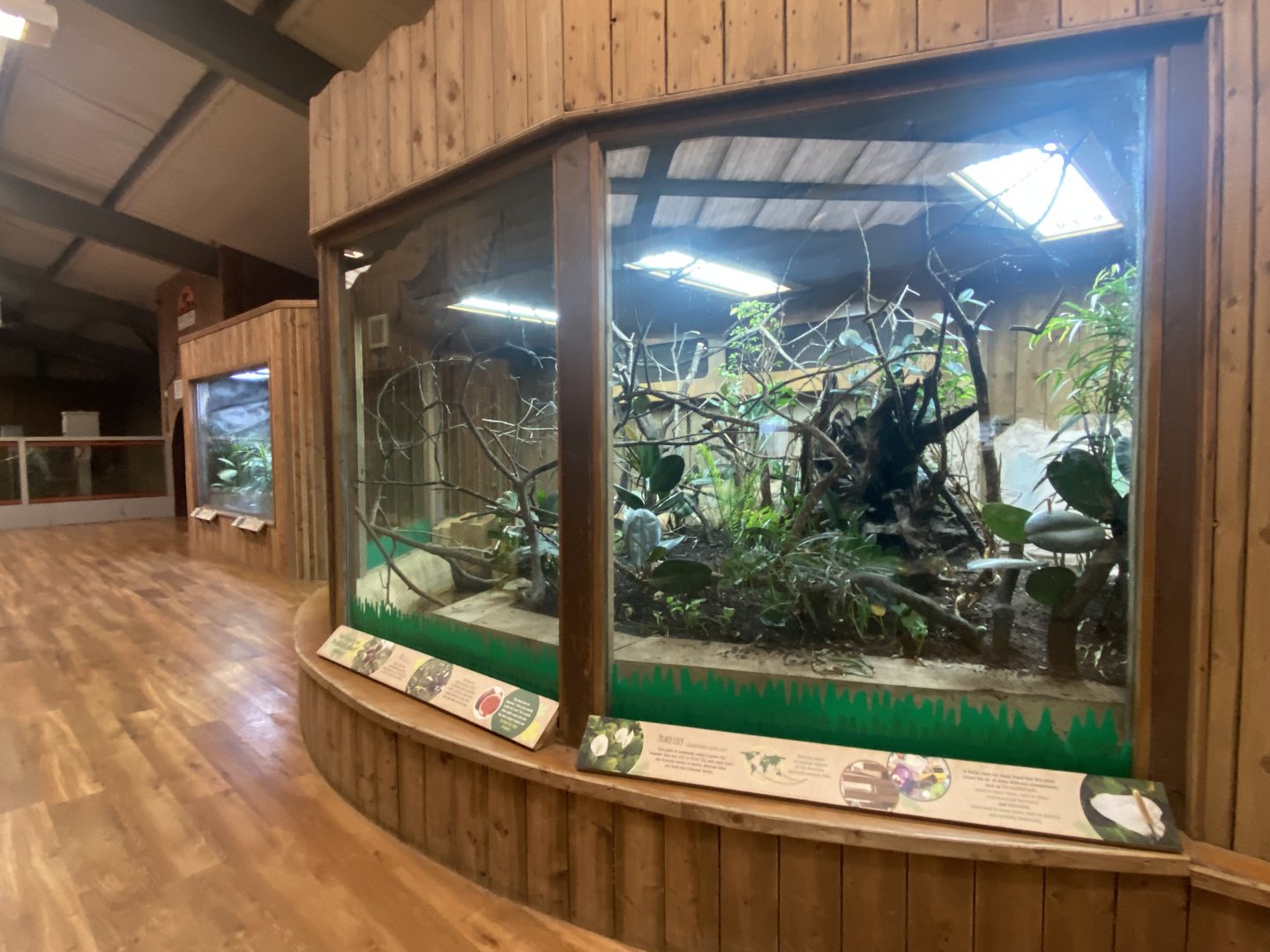 Kingdom of the Wild - Tropical Plant exhibit 140921