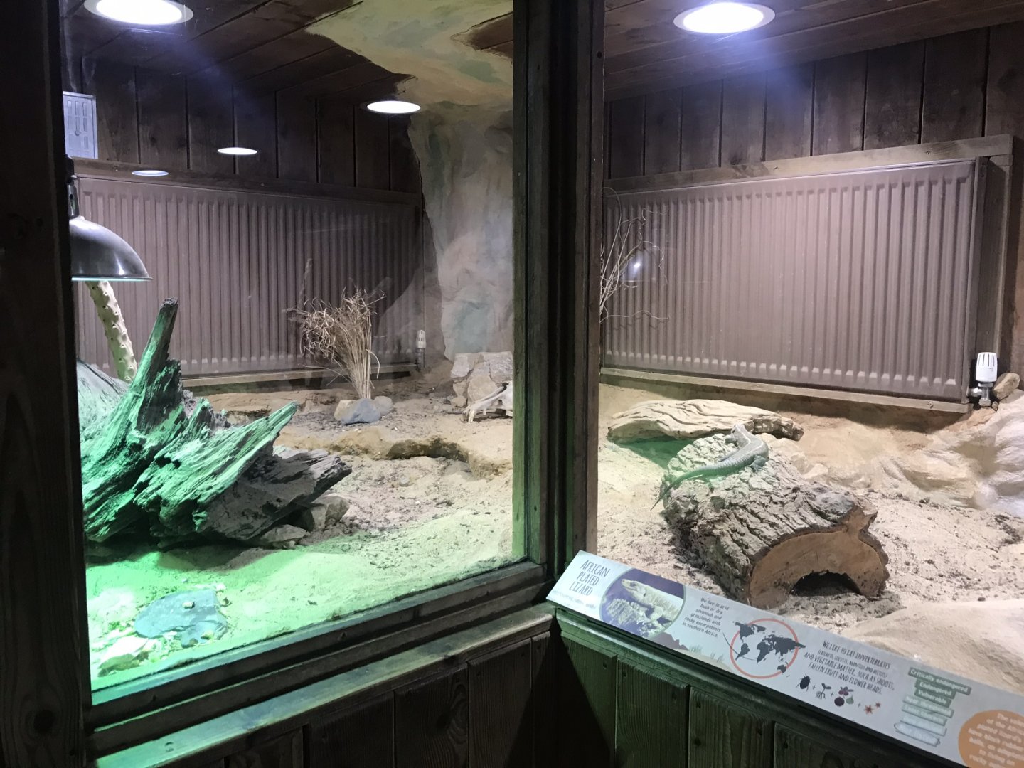 Kingdom of the Wild - vivarium 050819