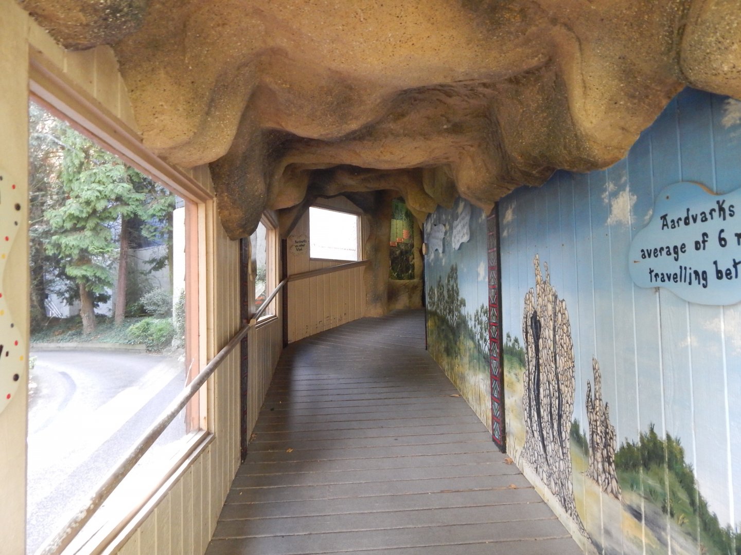 Kingdom of the Wild - walkway to indoor Aardvark enclosure 110925