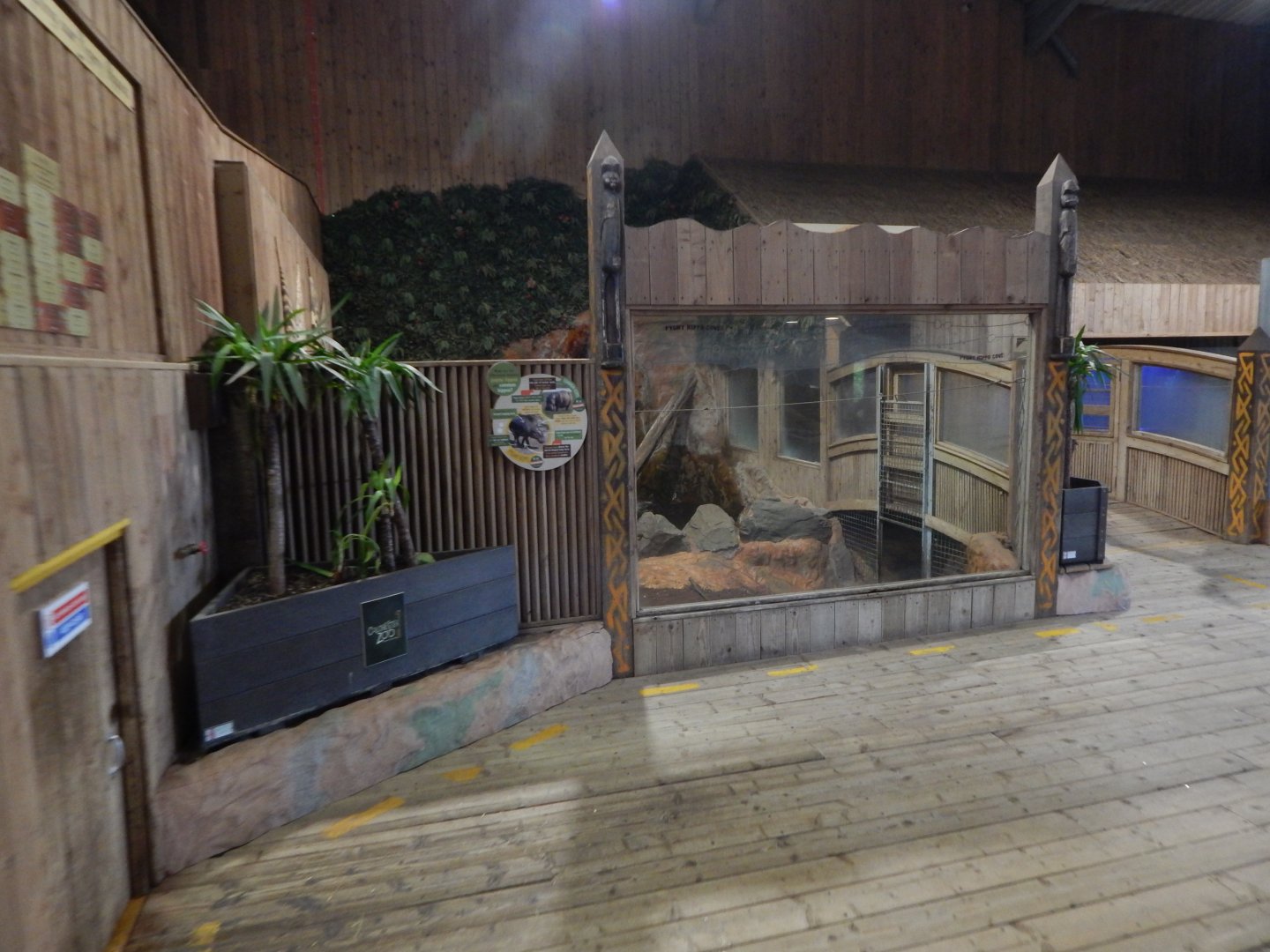 Kingdom of the Wild - Western pygmy hippopotamus enclosure 110925