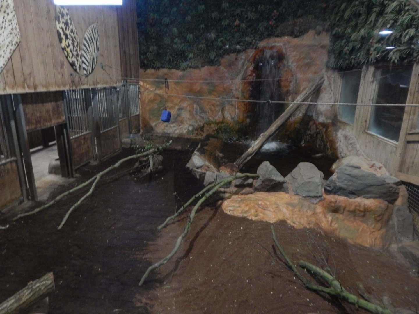 Kingdom of the Wild - Western pygmy hippopotamus enclosure 110925