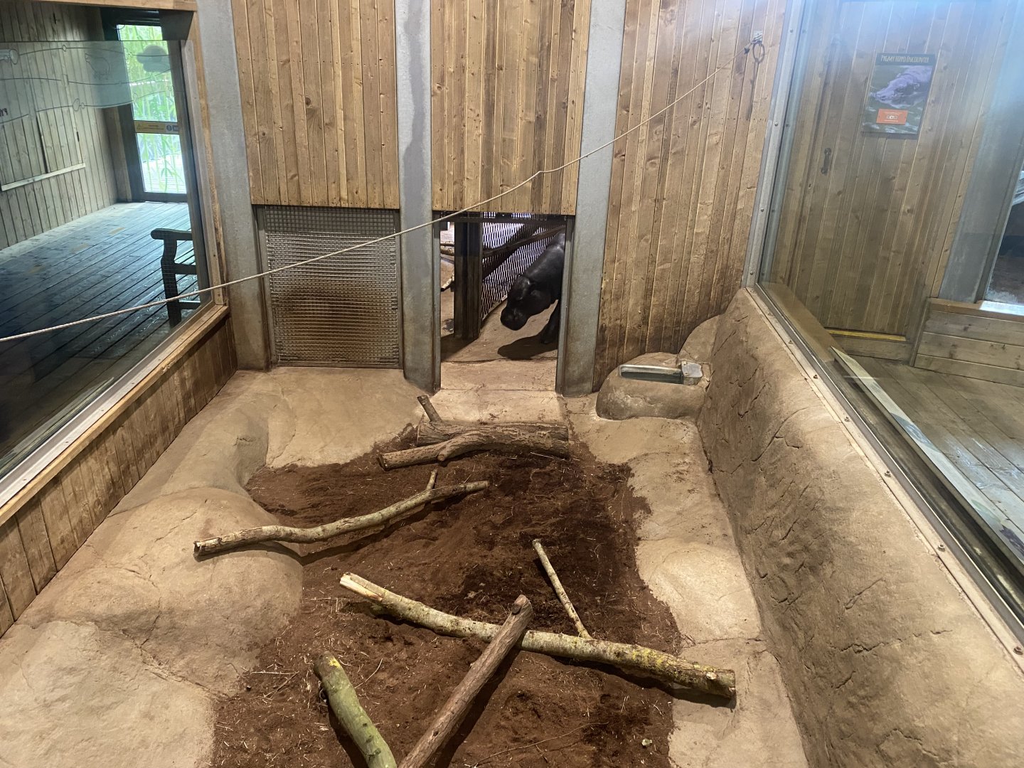 Kingdom of the Wild - Western pygmy hippopotamus enclosure 110925