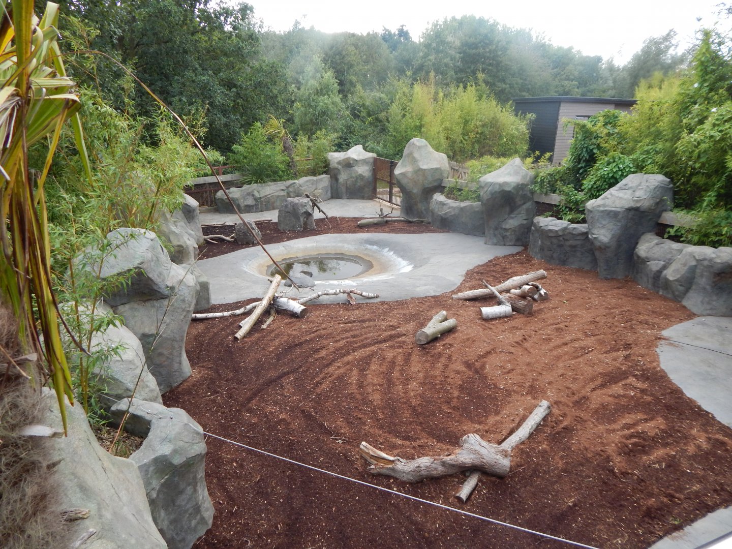 Kingdom of the Wild - Western pygmy hippopotamus enclosure 110925