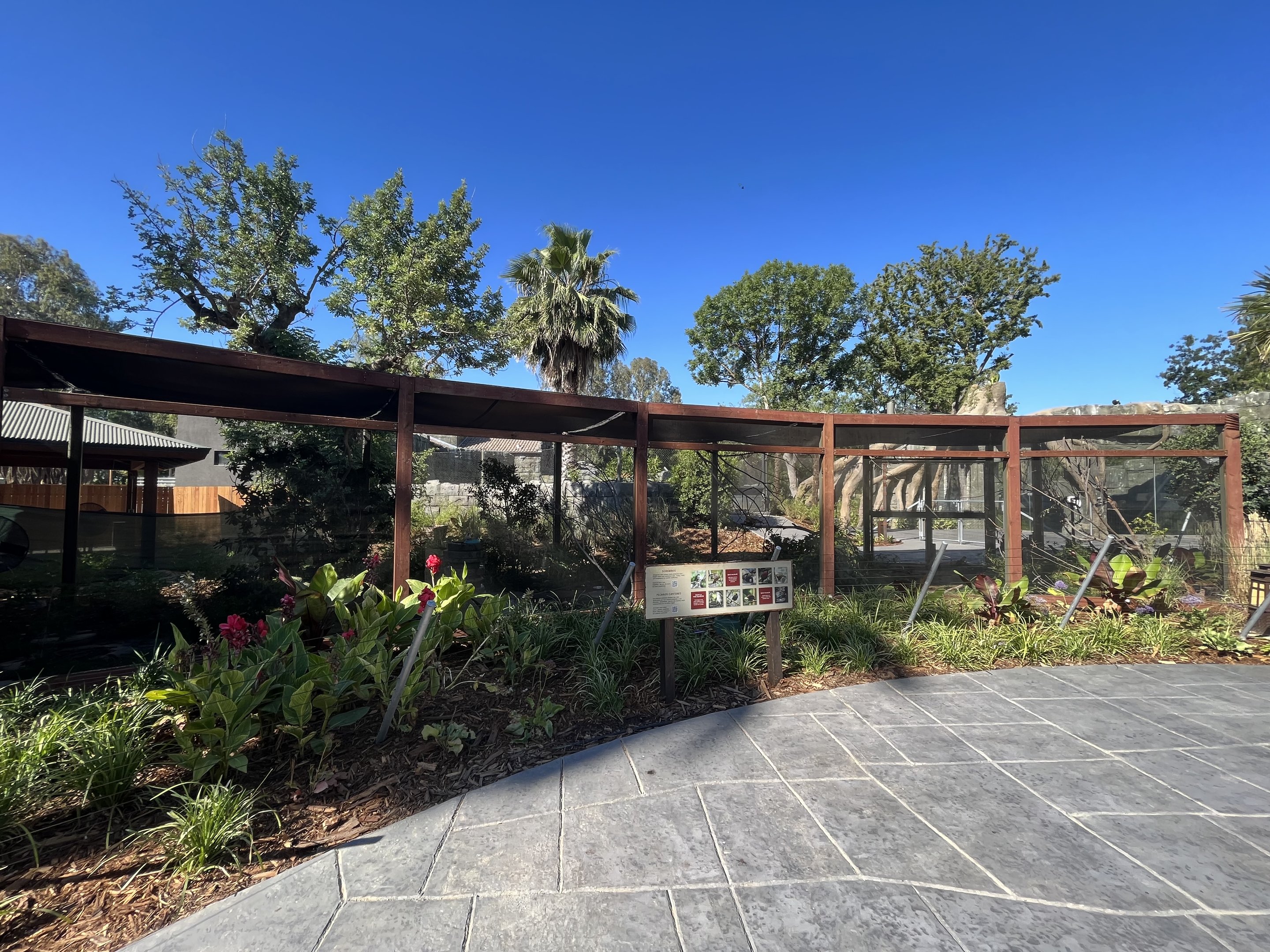 Kingdoms of Asia Aviary - New in 2023