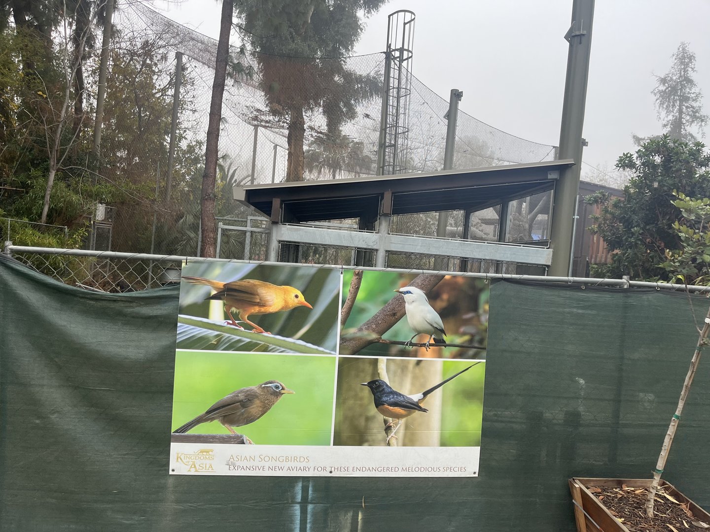 Kingdoms of Asia construction