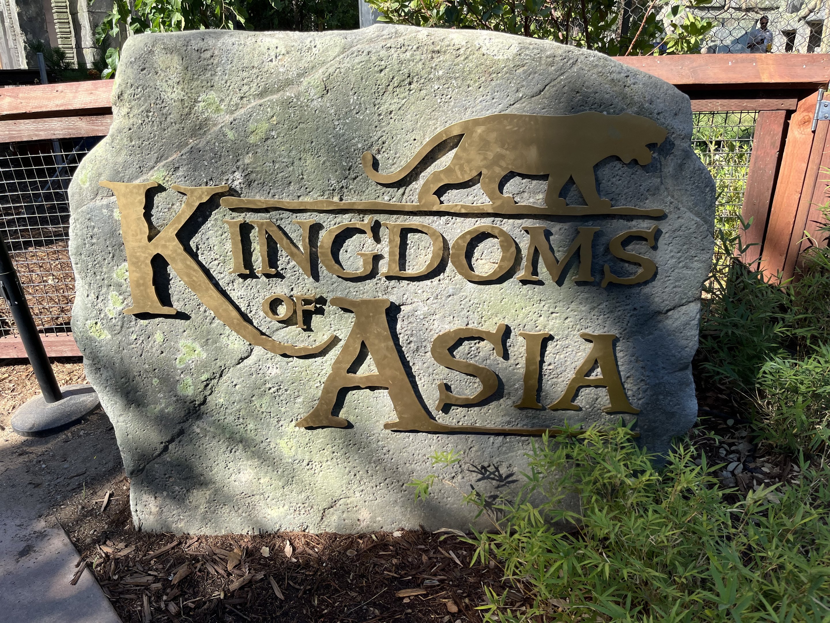 Kingdoms of Asia - New in 2023