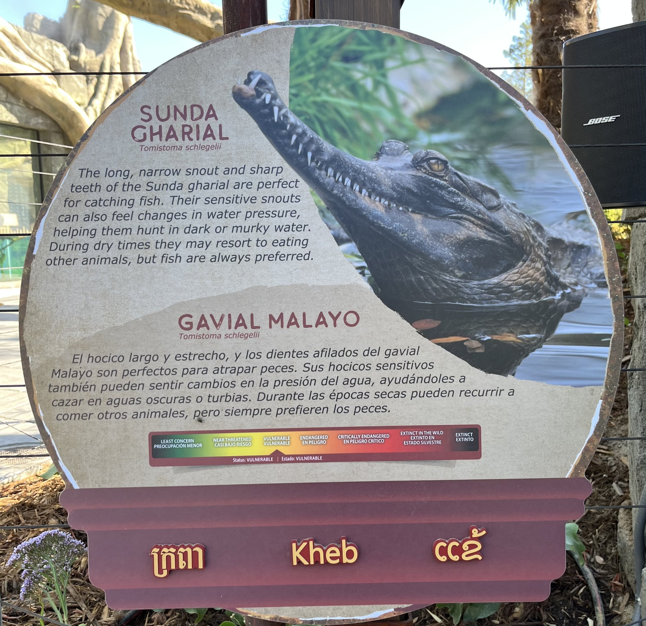 Kingdoms of Asia - New in 2023