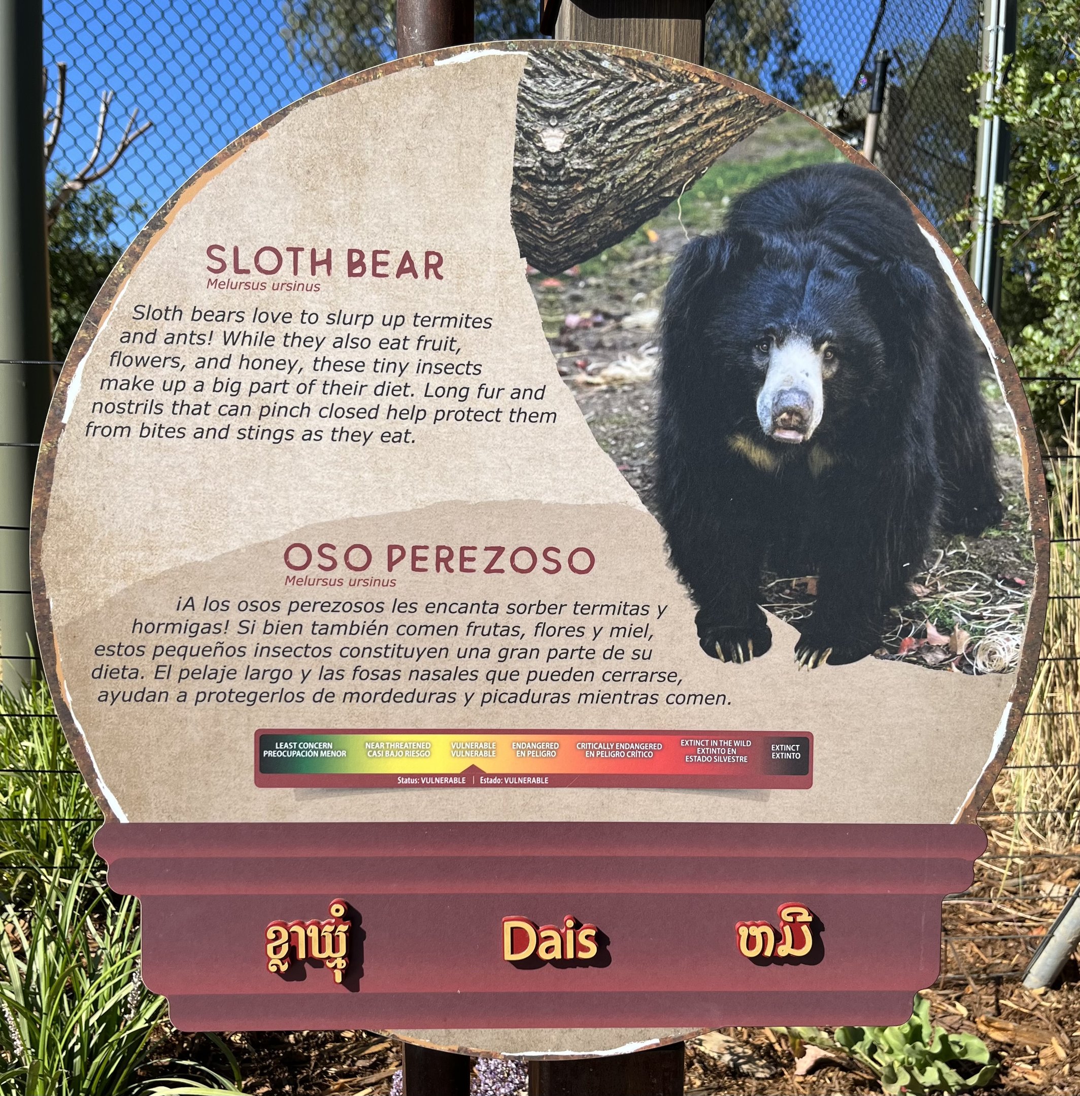 Kingdoms of Asia - New in 2023