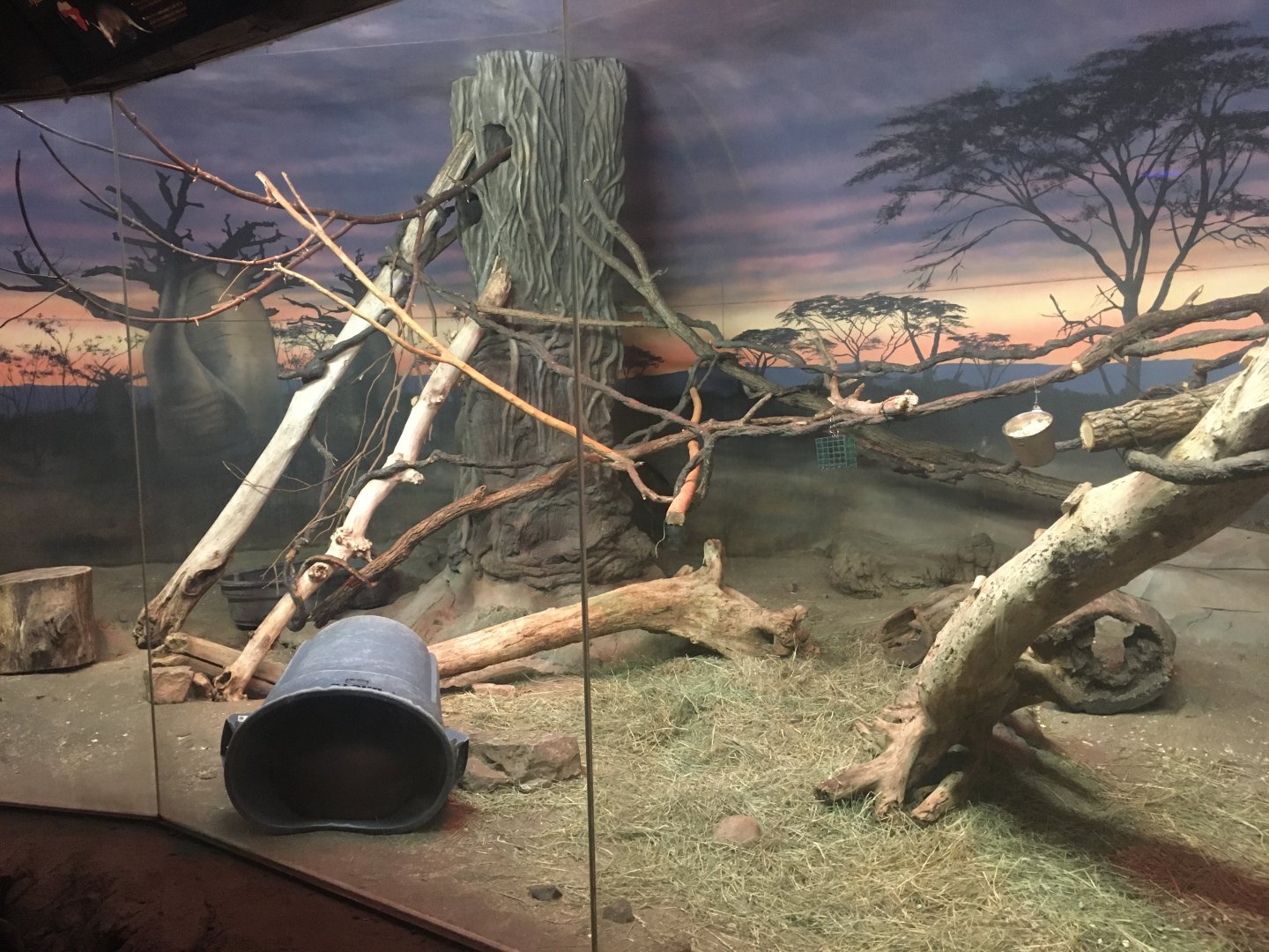 Kingdoms of the Night - Africa Exhibit Part 2 - Lights On