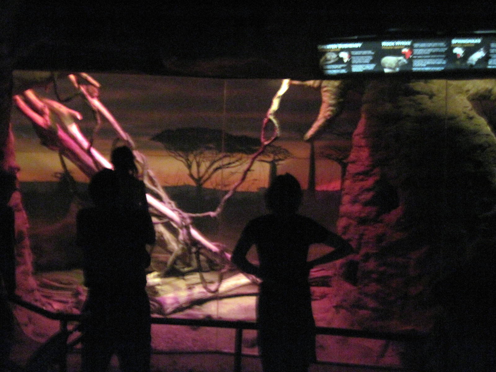 Kingdoms of the Night-African Diorama