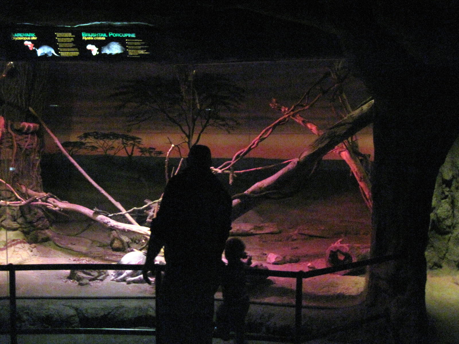 Kingdoms of the Night-African Diorama