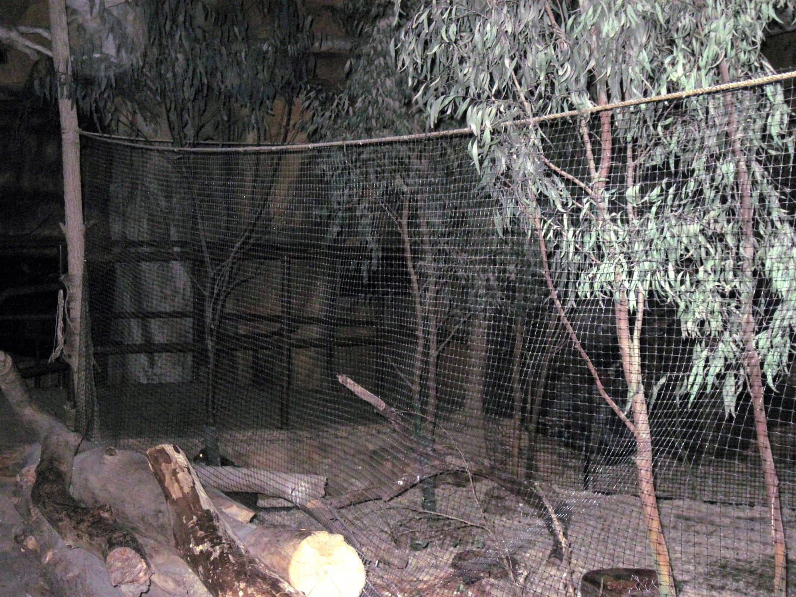 Kingdoms of the Night-Australian Exhibit