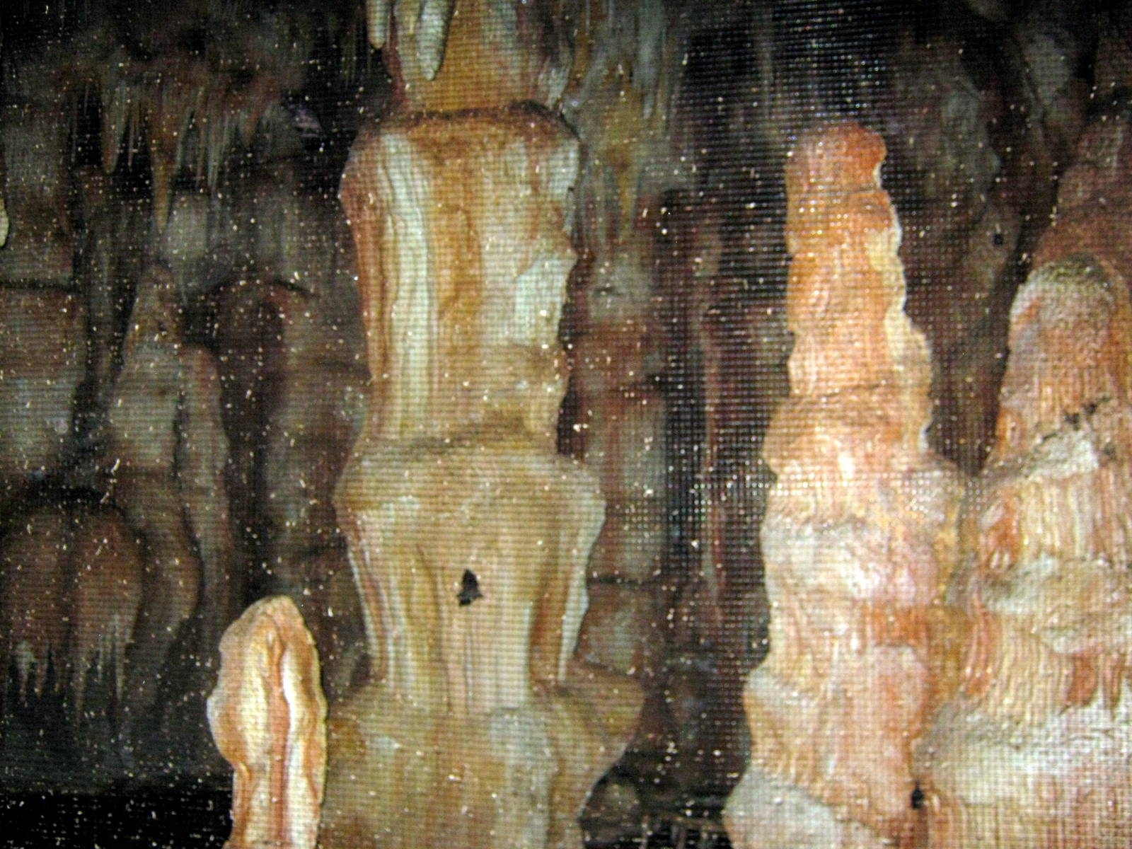 Kingdoms of the Night-Bat Cave