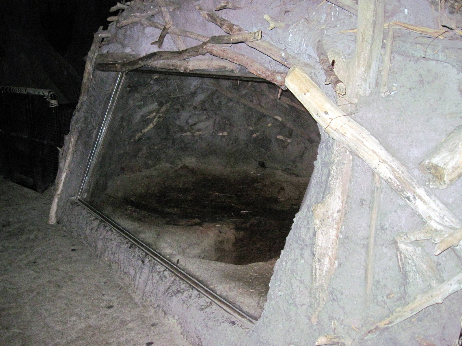 Kingdoms of the Night-Beaver Lodge