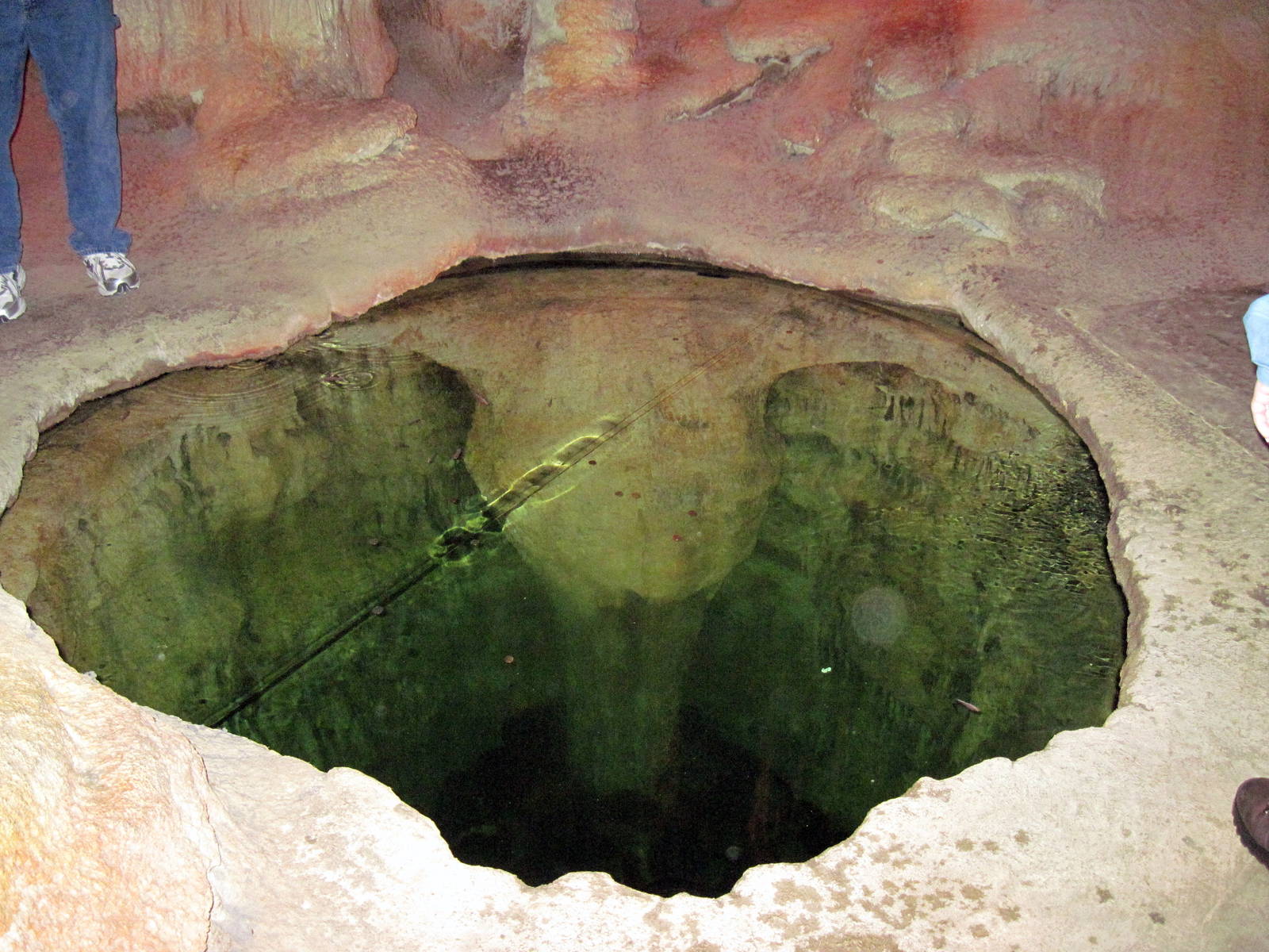 Kingdoms of the Night-Blind Cave Fish Exhibit
