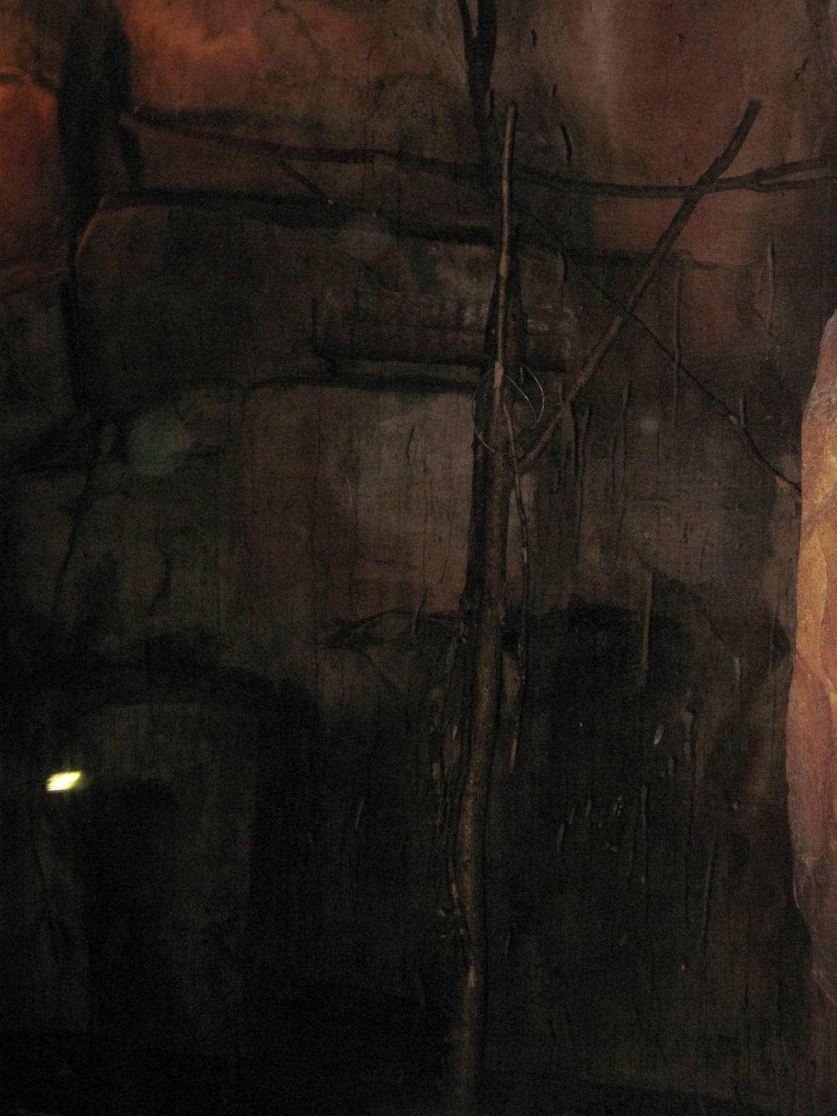 Kingdoms of the Night-Fruit Bat Exhibit