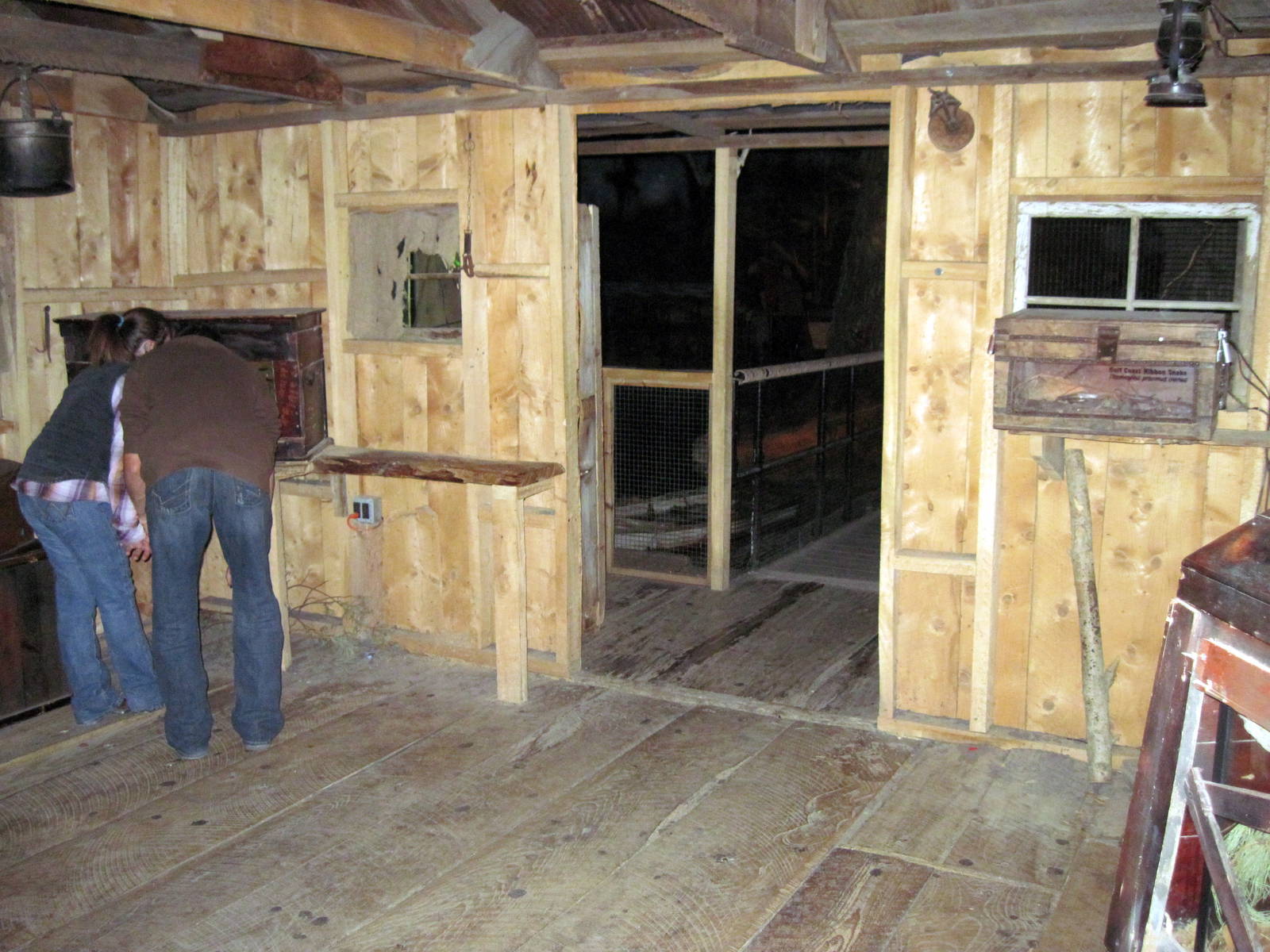 Kingdoms of the Night-Swamp Shack