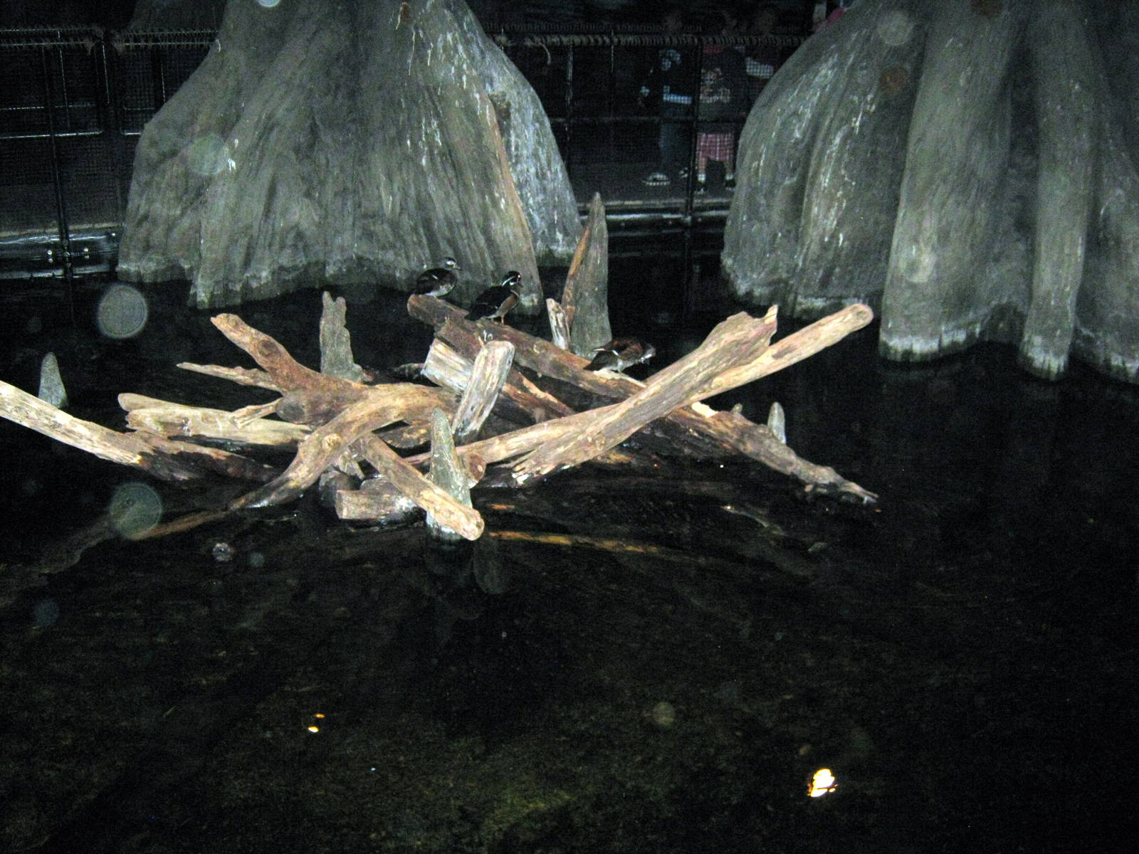 Kingdoms of the Night-Swamp