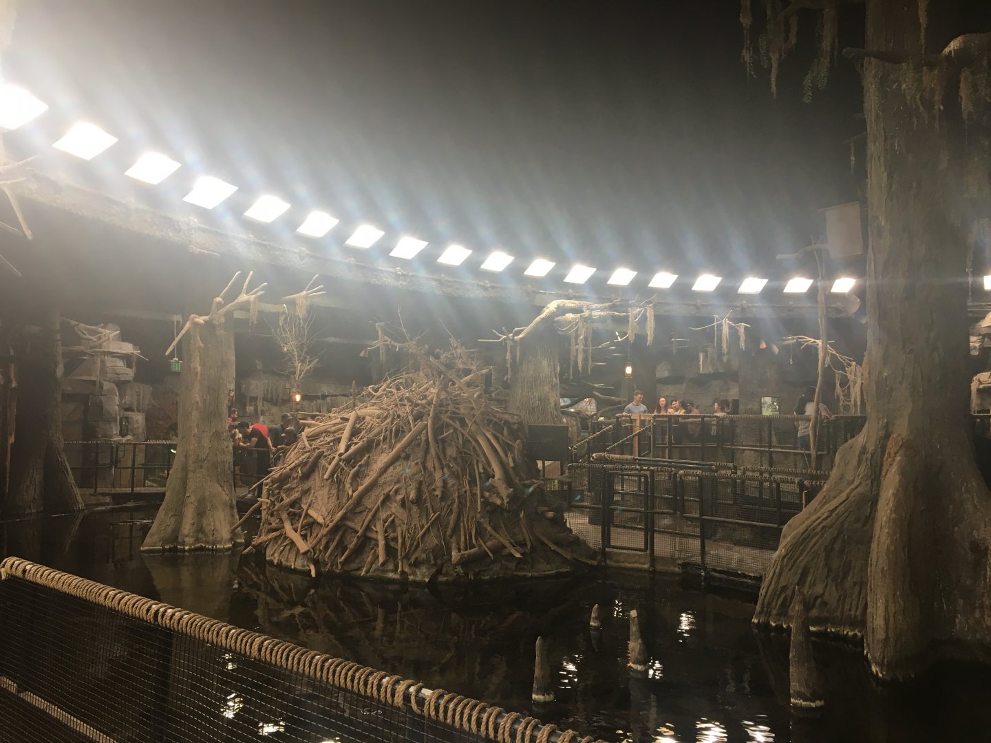 Kingdoms of the Night - The Swamp - Lights On