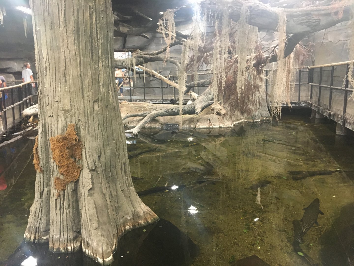 Kingdoms of the Night - The Swamp - Lights On