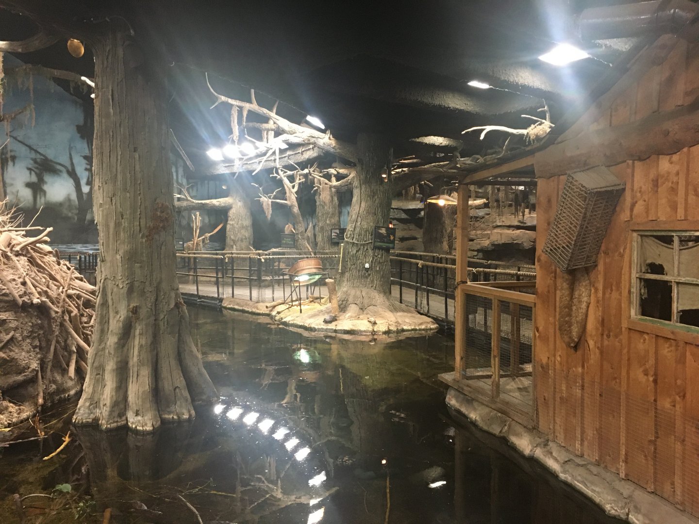 Kingdoms of the Night - The Swamp - Lights On