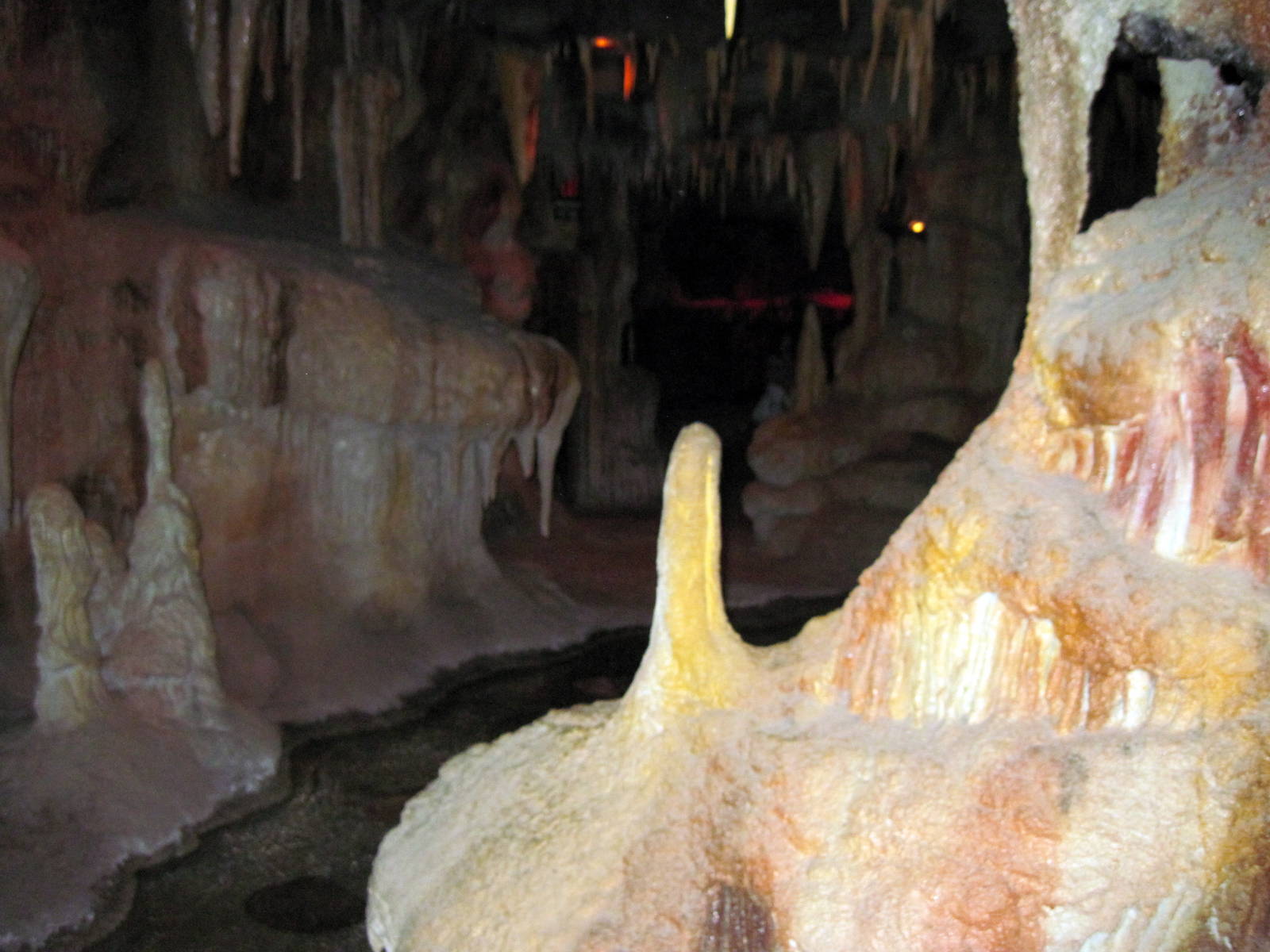 Kingdoms of the Night-Wet Bat Cave