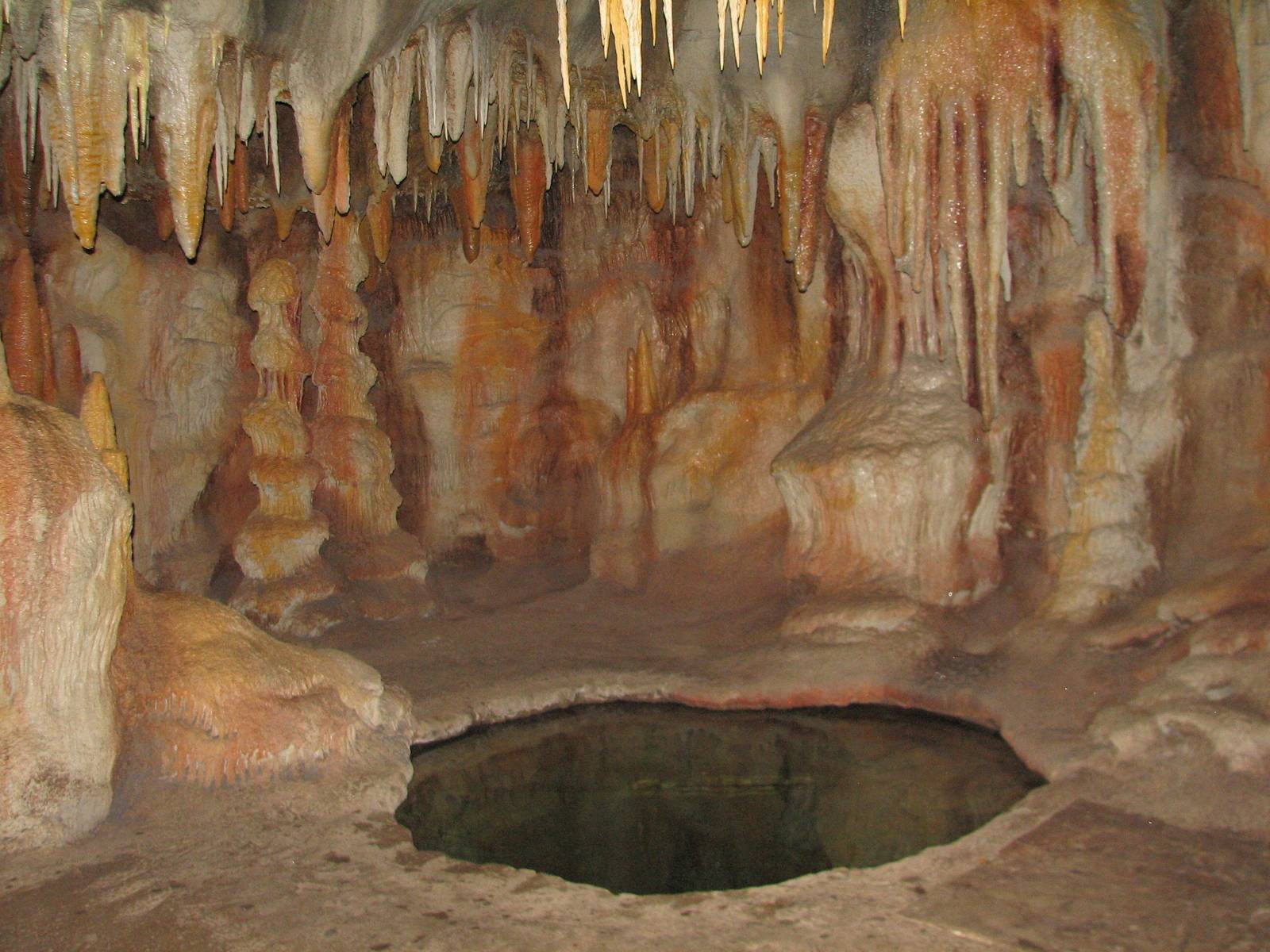 Kingdoms Of The Night - Wet Cave with 16' Deep Blind Cave Fish Exhibit