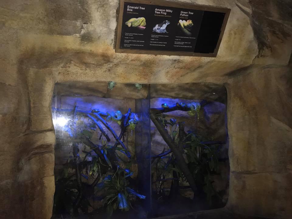 Kingdoms of the Night