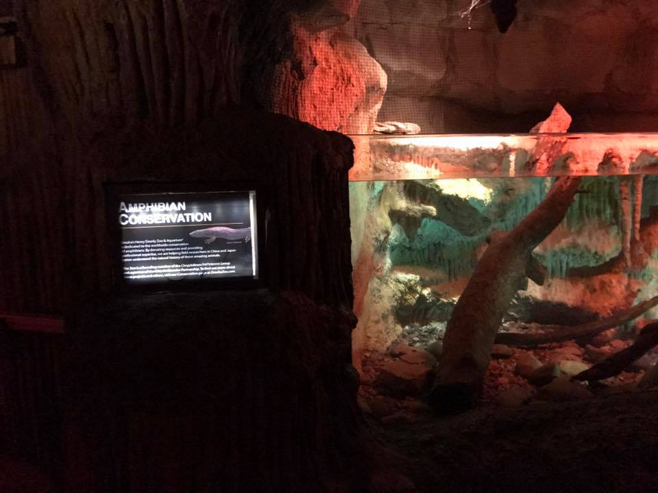 Kingdoms of the Night