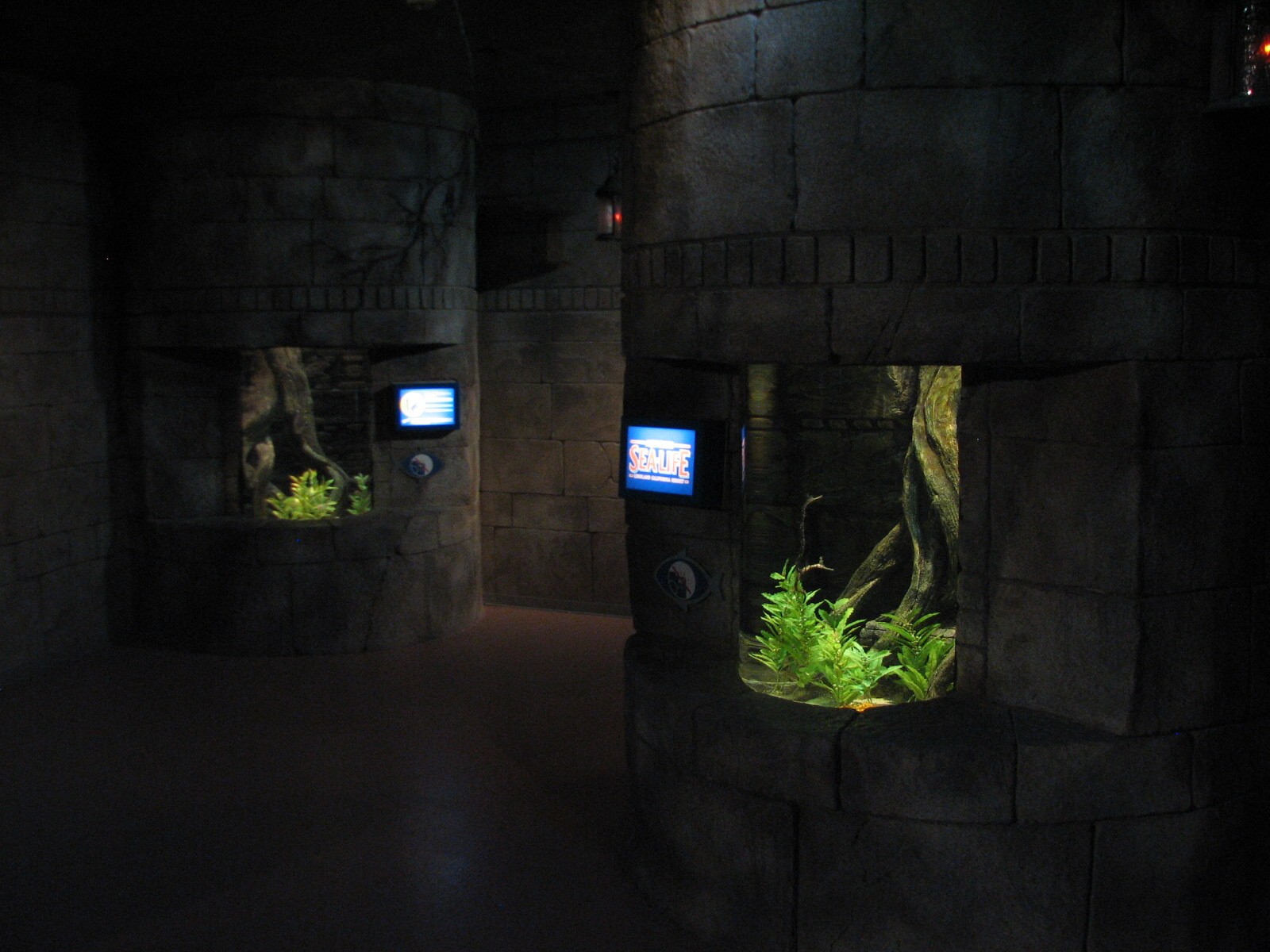 Kingdoms of the Seahorse - Seahorse Exhibits